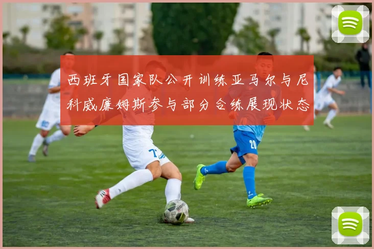 西班牙国家队公开训练亚马尔与尼科威廉姆斯参与部分合练展现状态